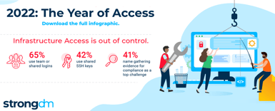 The Year of Access infographic