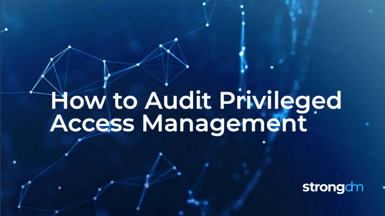 Audit Privileged Access Management (PAM)