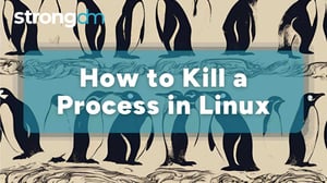 How to Kill a Process in Linux: Commands and Best Practices
