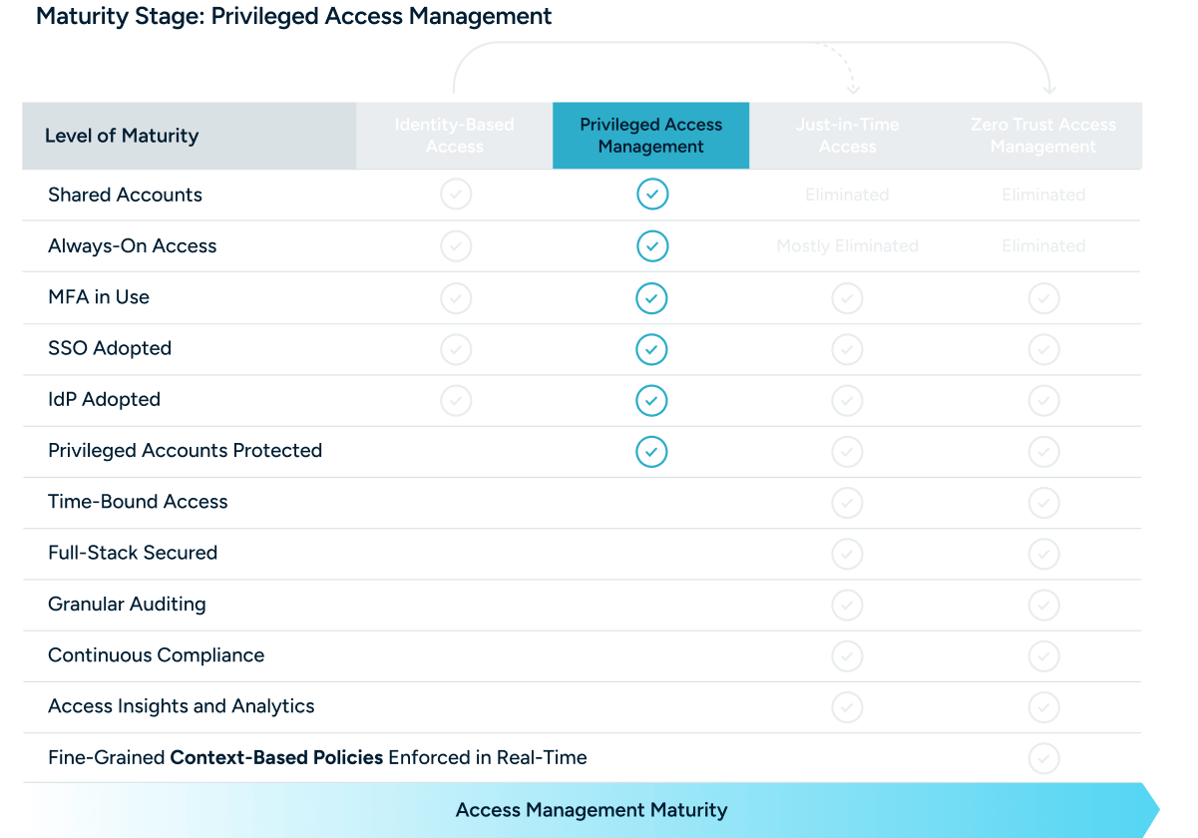 Maturity Stage_ Privileged Access Management-1