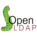 Connect Terraform & OpenLDAP