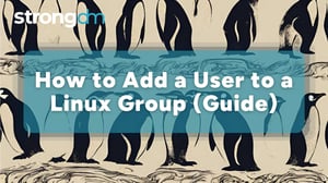 How to Add a User to a Linux Group (Step-by-Step Guide)