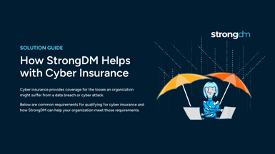 how-sdm-helps-with-cyber-insurance
