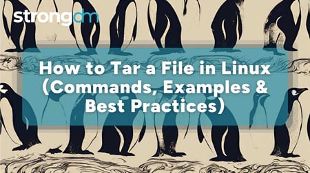 How to Extract or Unzip .tar.gz Files in Linux (With Examples)