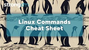 Linux Commands Cheat Sheet: Basic, Advanced & More