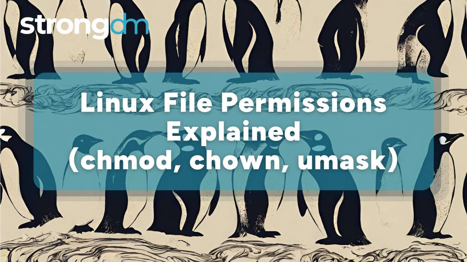 Linux File Permissions Explained: chmod, chown, umask
