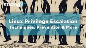 Linux Privilege Escalation: Techniques, Prevention & More