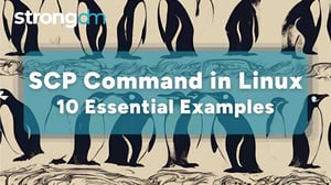 SCP Command in Linux: 10 Essential Examples