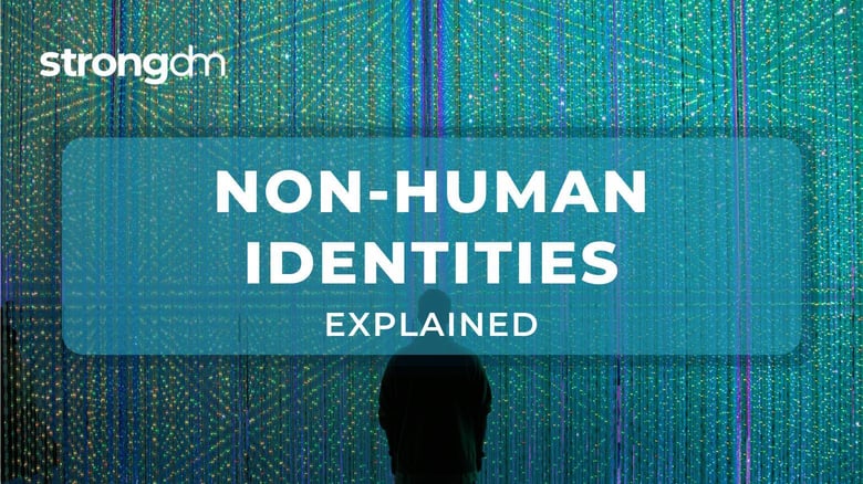 What Is a Non-Human Identity (NHI)?