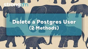 How to Delete a Postgres User (dropuser & DROP USER)