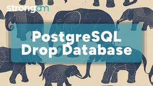 PostgreSQL Drop Database (15+ Methods)
