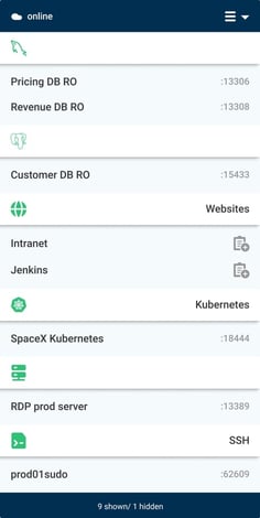 strongDM local client infrastructure access list