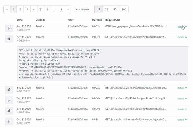 Web logs within strongDM console