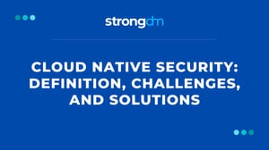 Cloud Native Security: Definition, Challenges, and Solutions