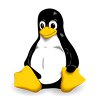 StrongDM-Linux-Logo-Icon