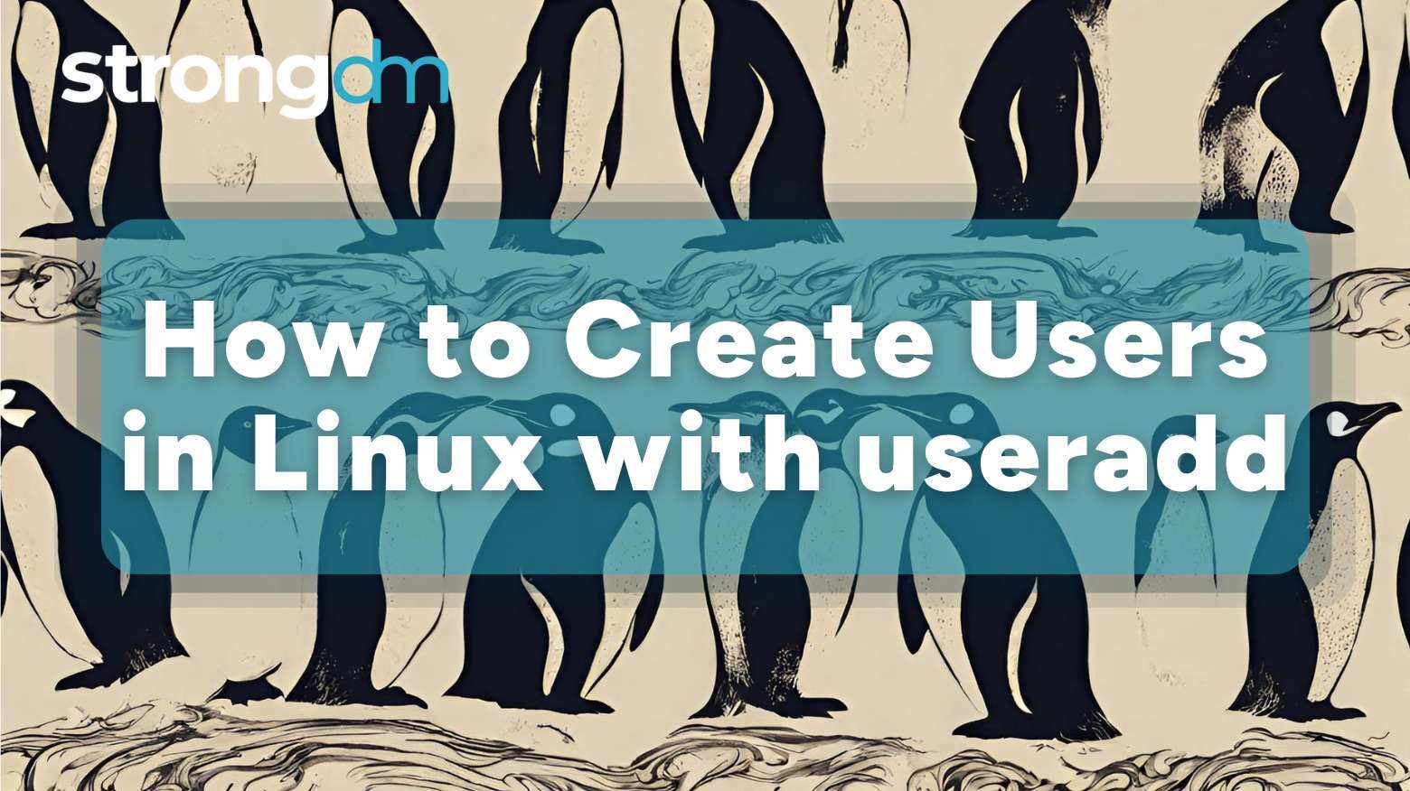 How to Create Users in Linux with useradd (Step-by-Step)