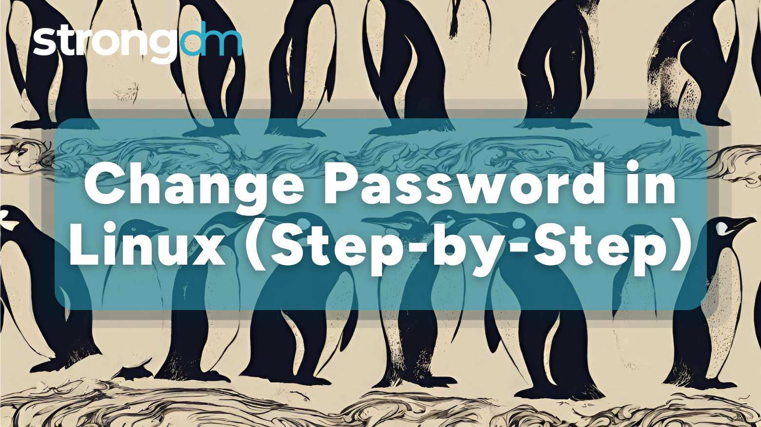 How to Change Password in Linux: A Step-by-Step Guide