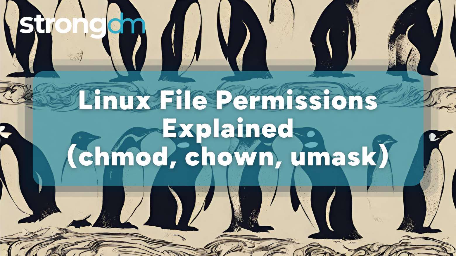 Linux File Permissions Explained: chmod, chown, umask
